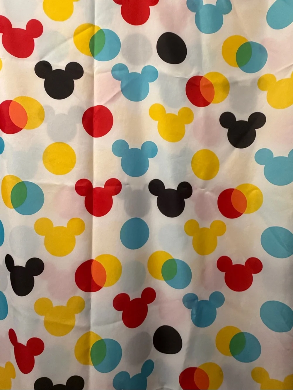 Disney fun mickey